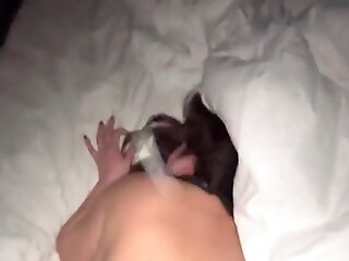 amateur-american-bbw-brunette-creampie-sex